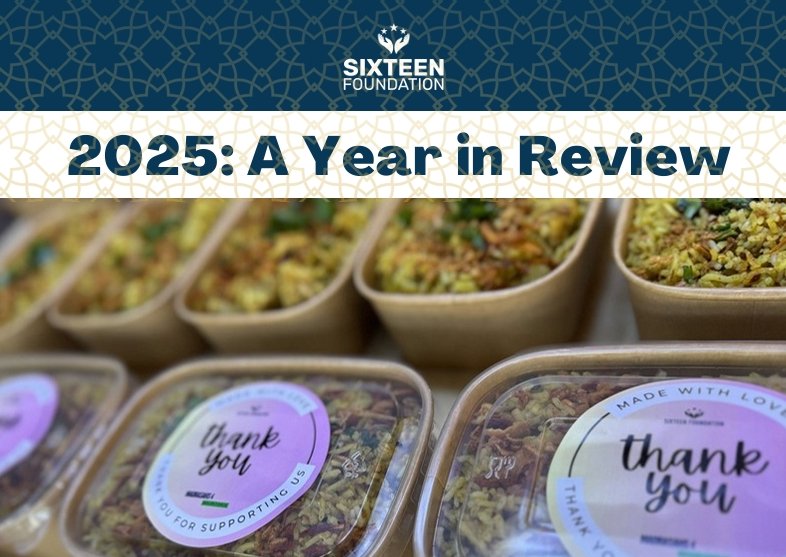 Newsletter 2024: A Year in Review